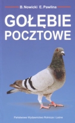 Gołębie pocztowe