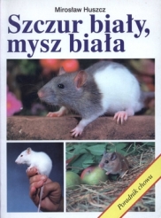 Szczur biały, mysz biała