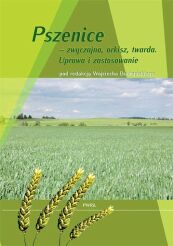 Pszenice – zwyczajna, orkisz, twarda. Uprawa i zastosowanie