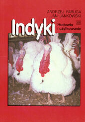 Indyki - hodowla i użytkowanie